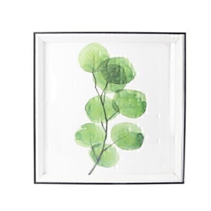 Watercolour Framed Square Print By Gisela Graham This small square print of a green branch comes mounted in a small white frame. It would suit any home decor and would make a lovely gift.  Made by London based designer Gisela Graham who designs really beautiful gifts for your home and garden. Matching prints are also available.